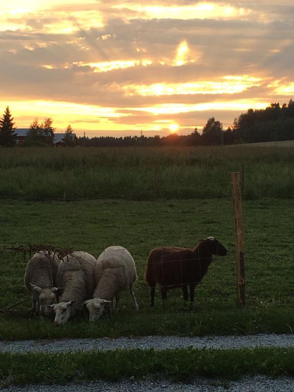 Lomatila Ollila Farm Stay ケリマキ エクステリア 写真